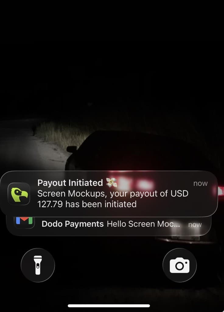 iPhone lock screen showing a Dodo Payments payout notification for Screen Mockups — the first internet dollar
